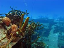Cayman Islands Scuba Diving Holiday. Grand Cayman Dive Centre. Wreck Diving.
